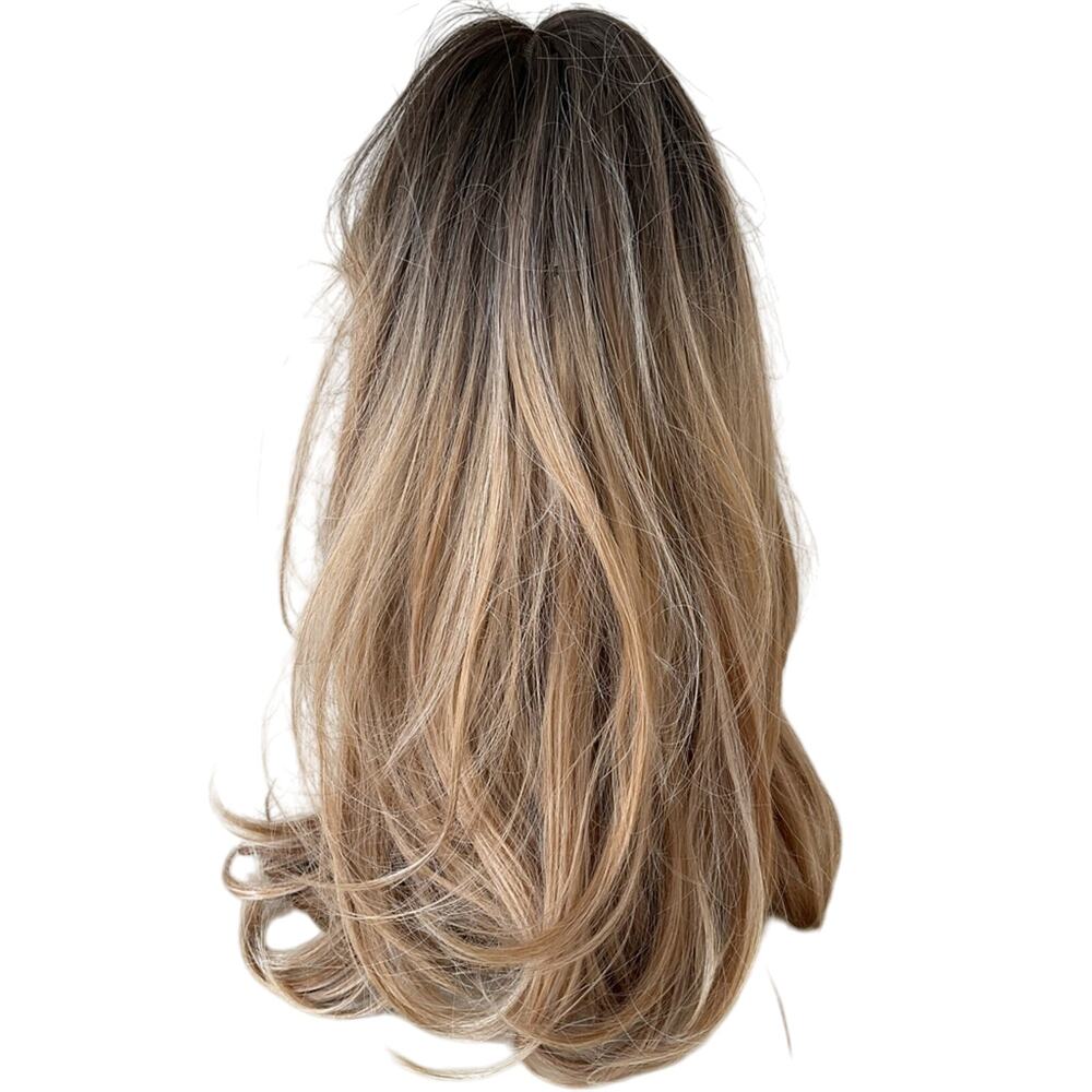 HAIRCUBE Elegant Brown Ombre Wig EUC